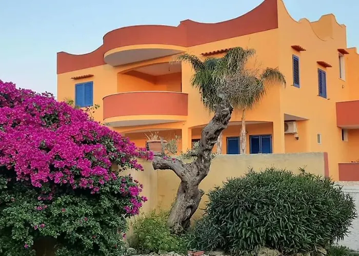 Terra e colori